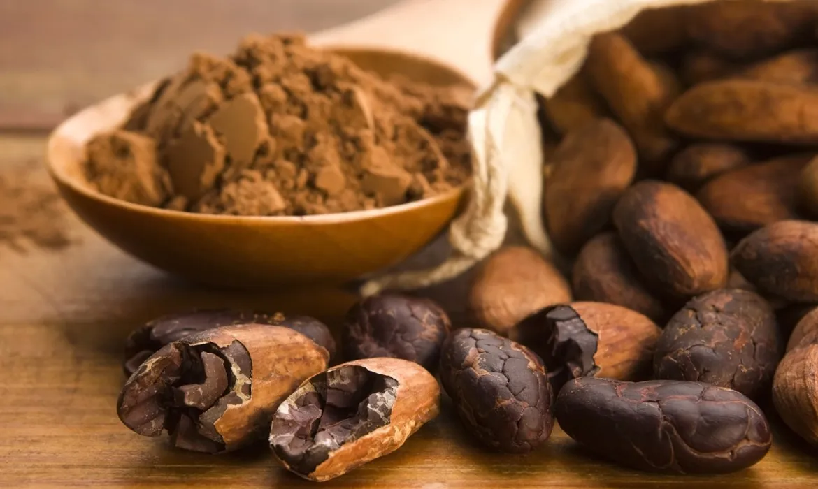 Ruta del Cacao
